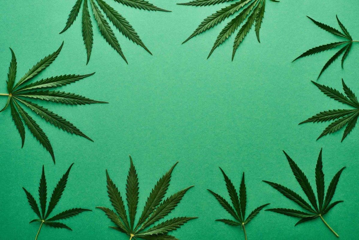 Glossary of Cannabinoid Terms Cover2