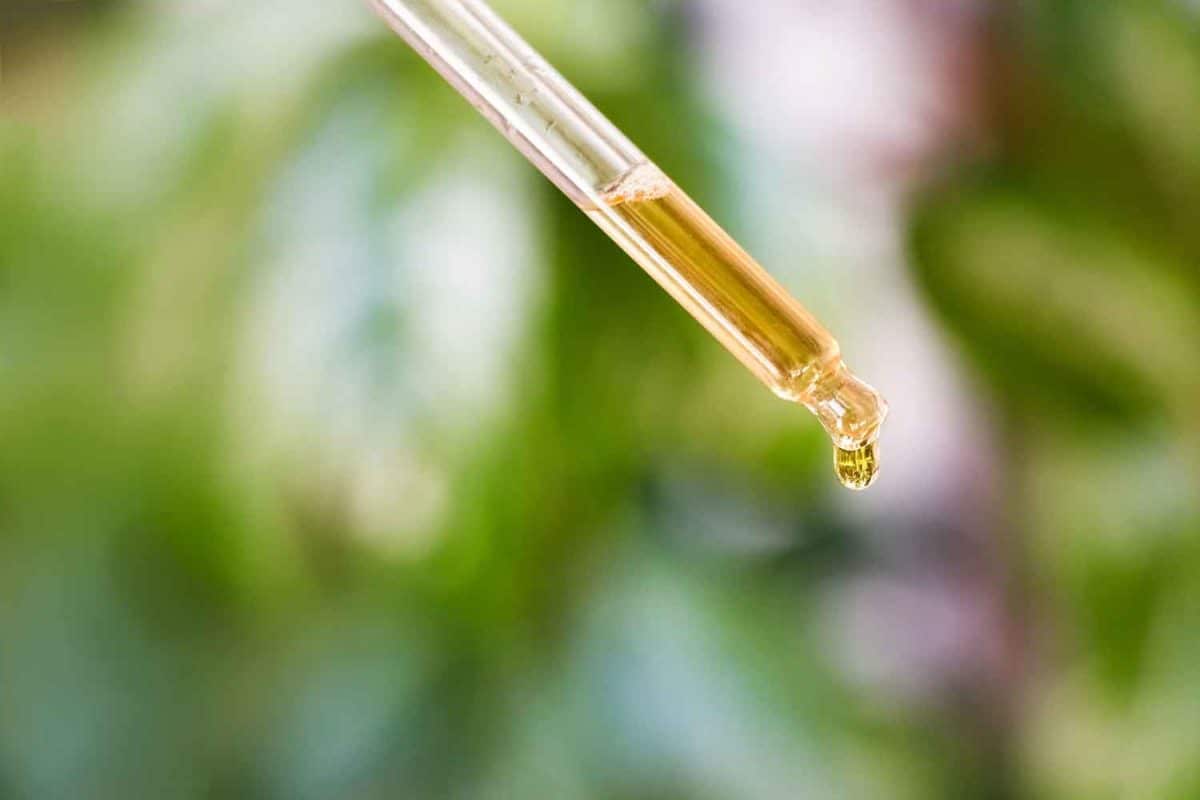 what is delta 8 tincture