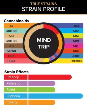 Mind Trip - True Strains - 2ml Vape Pod - Let your creativity flow with this Hybrid blend that encourages exploration of mind.
REQUIRES A 3CHI POD BATTERY TO USE
