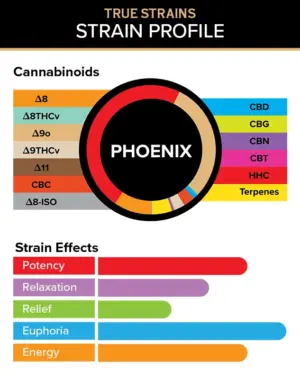 Phoenix - True Strains - 2ml Vape Pod - Fire up your day with this energetic Sativa blend, perfect for keeping your spirits high and your motivation higher.
REQUIRES A 3CHI POD BATTERY TO USE