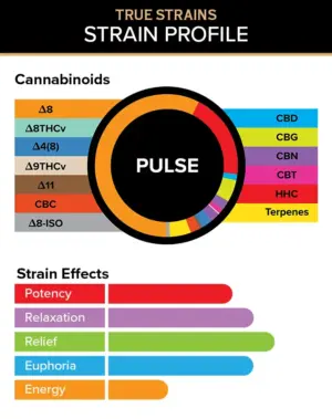 Pulse - True Strains - 2ml Vape Pod - This chill yet social Indica is perfect for getting you in the groove after a long day at work.
REQUIRES A 3CHI POD BATTERY TO USE