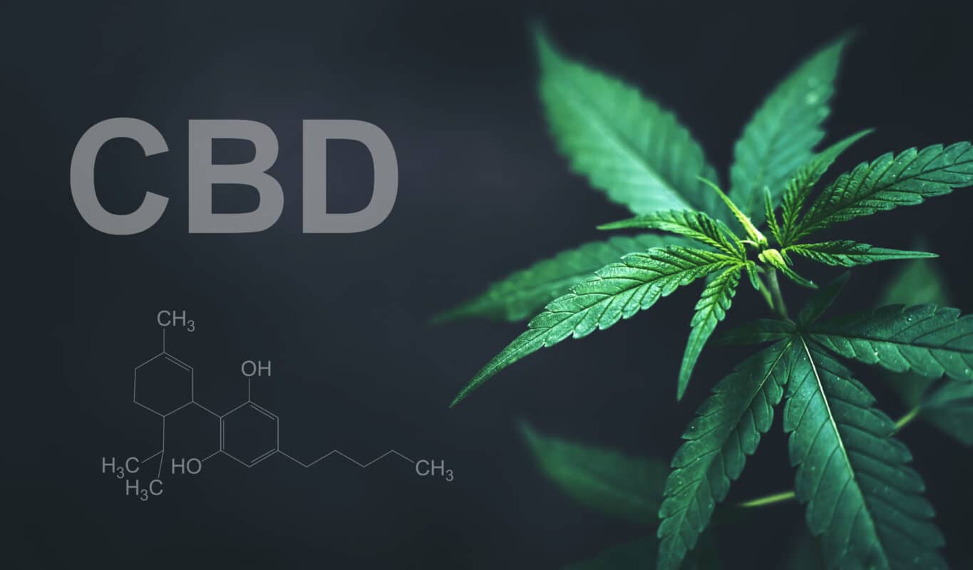 A Beginner's Guide to CBD