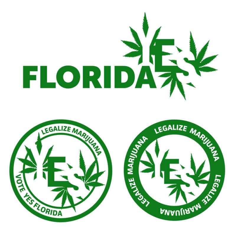 Florida Marijuana Legalization is on the Ballot for November