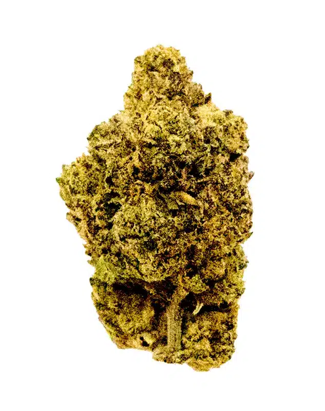 THCA Flower - Runtz Sherbet - 3.5g