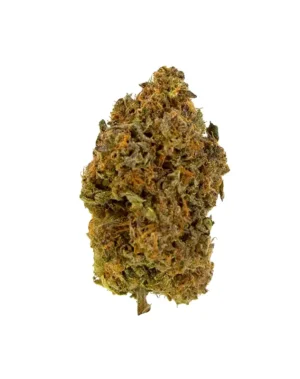 THCA Flower - Gelato 41