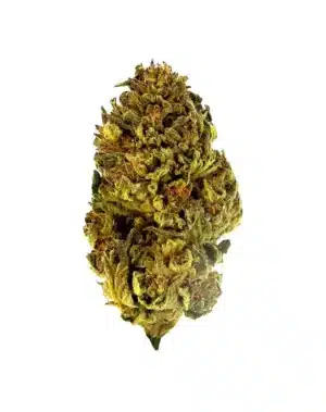 THCA Flower - Obama Runtz