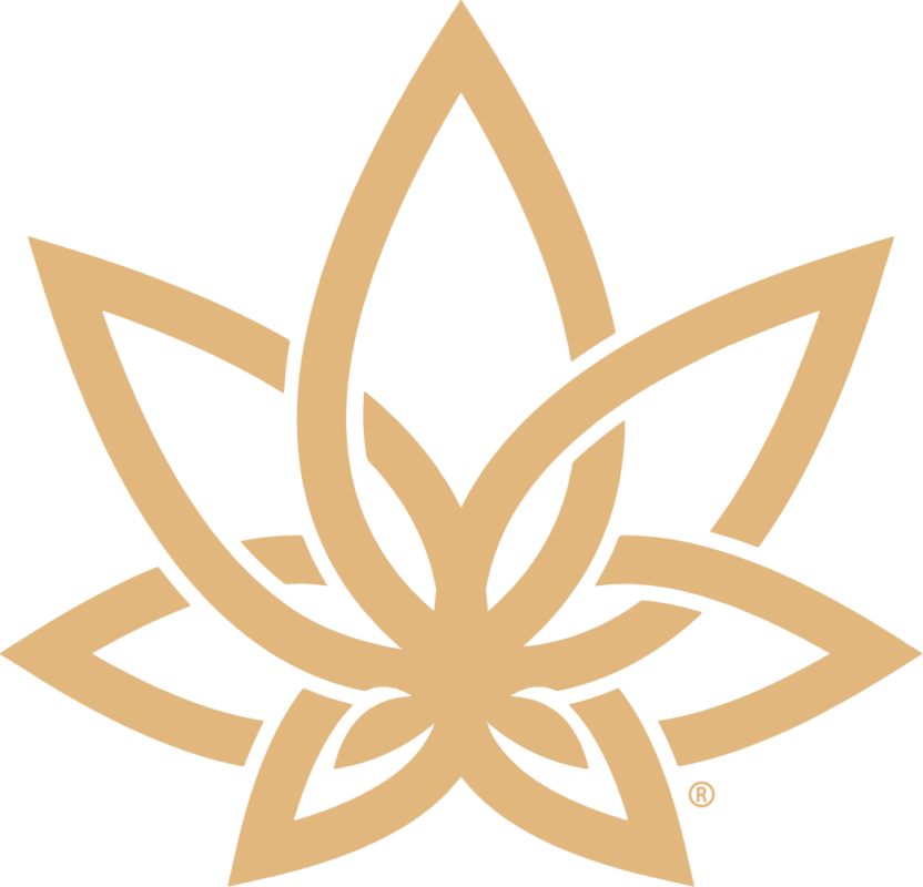 Delta 8 Vapes: Finding the Perfect Fit