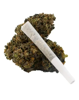 .7g THCA Pre-Roll - 5 (tin), Northern Lights - Quantity: 5 (tin), Strain: Northern Lights