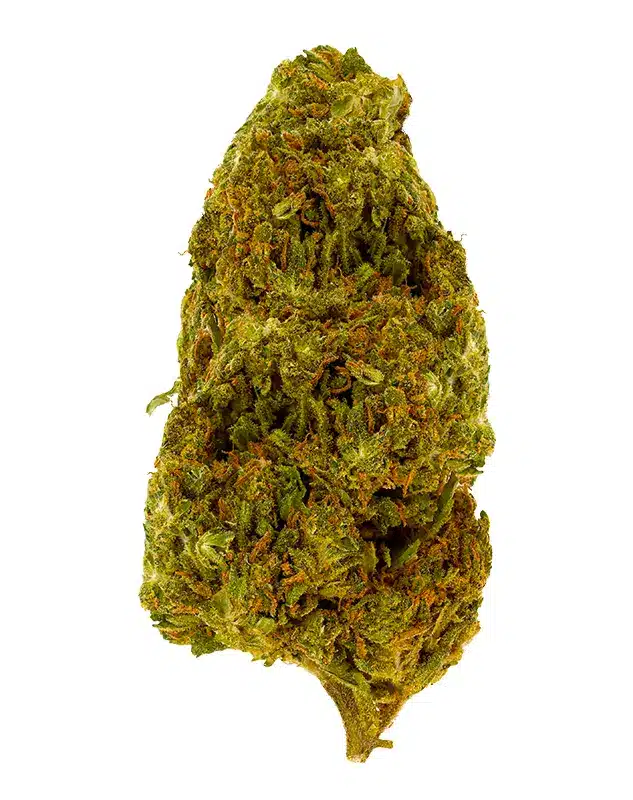 THCA Flower - Blueberry Z - 3.5g - Blueberry Z is a bit heavier hybrid that has strong, physical effects while offering an uplifting mental high. This flavorful strain has been sought out by experienced cannabis users for its heavier effects, potentially easing stressful and anxious feelings. Genetics: Blue Diamond x The Original Z Strain: Hybrid Flavor Profile: Citrus, Earthy, Flowery Feelings: Sleepy, Hungry, Relaxed THCA Content: 27.6%