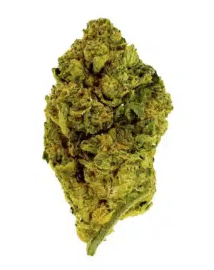 THCA Flower - Gary Runtz - 3.5g - This potent, balanced hybrid has a quick onset to launch you into your happy, euphoric place. With a full-body high, Gary Runtz can take you from an energetic, creative space into one of potentially easing physical discomforts. Genetics: Gary Payton x Red Runtz Strain: Hybrid Flavor Profile: Sweet, Candy, Herbal Feelings: Relaxed, Happy, Easing Tensions THCA Content: 27.4%