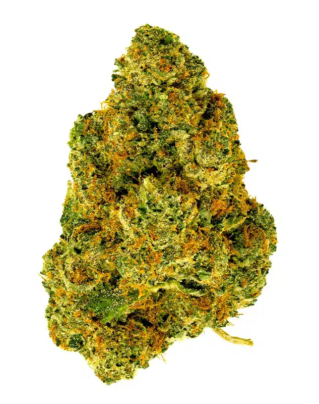 THCA Flower - Banana Zkittles - 3.5g - Taste the rainbow with this heavier hybrid bound to please your taste buds. Designed to help give you that creative boost and ease anxious feelings, Banana Zkittlez is a well-balanced euphoria. Genetics: Banana Punch x Zkittlez Strain: Hybrid Flavor Profile: Fruity, Lemon, Woody Feelings: Creative, Talkative THCA Content: 25.4%