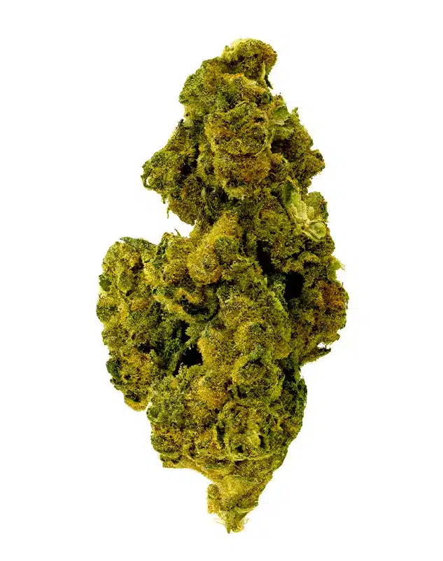 THCA Flower - Cheetah Piss