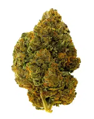 THCA Flower - Ice Cream Cake - 3.5g - Ice Cream Cake is a pungent hybrid that offers a delicious, creamy flavor that lingers even after you’ve finished smoking it. The high from Ice Cream Cake offers a lifted, yet relaxed experience that can put you in a state of pure bliss. Genetics: Gelato 33 x Wedding Cake Strain: Indica Flavor Profile: Creamy, Nutty, Sweet Feelings: Relaxed, Happy, Sleepy THCA Content: 29.8%