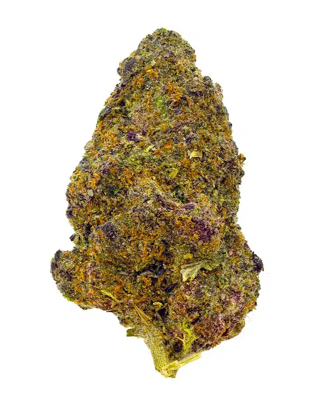 THCA Flower - Mango Mintality - 3.5g - This heavier hybrid will not only have you feeling relaxed, but also uplifted, still able to be social and active. The flavor provides a Mango taste with a touch of sour citrus and menthol. It provides a giddy overtone that’s perfect for a casual afternoon by yourself or a fun social situation. Genetics: Gush mints x Mango Haze Strain: Indica Flavor Profile: Citrus, Flowery, Spicy Feelings: Relaxed, Sleepy, Giggly THCA Content: 23.9%