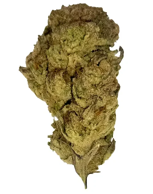 THCA Flower - Blue Dream