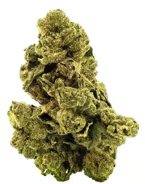 THCA Flower - Durban Poison