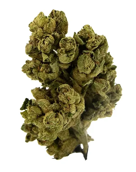 THCA Flower - Modified Grapes