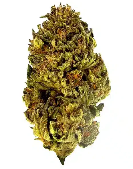 THCA Flower - Obama Runtz