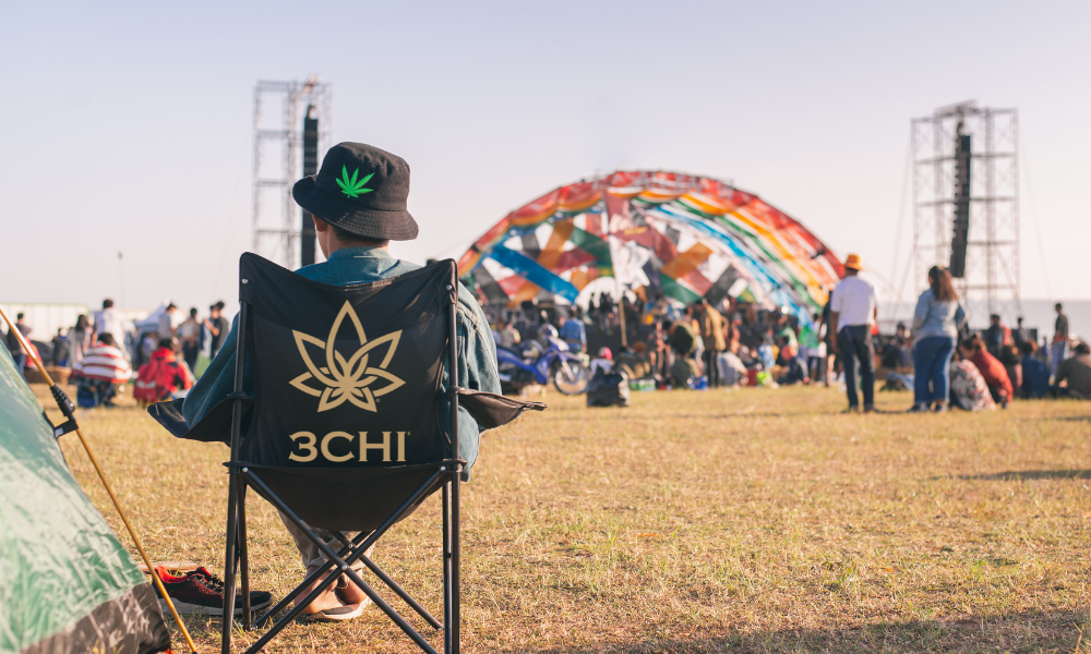 #SB3CHI Vibes: Artists Who Smoke & THCA Flower Insights