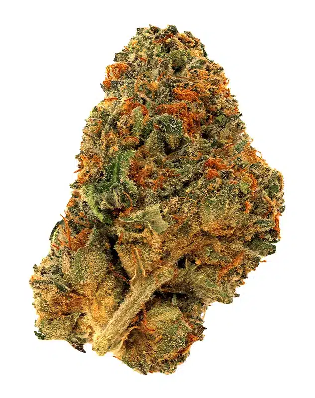 Mendo Breath Strain: Its Origin and Effects Explained