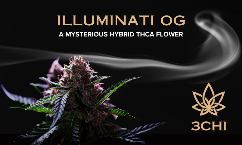 Illuminati Strain: 3CHI's Premium THCA Flower