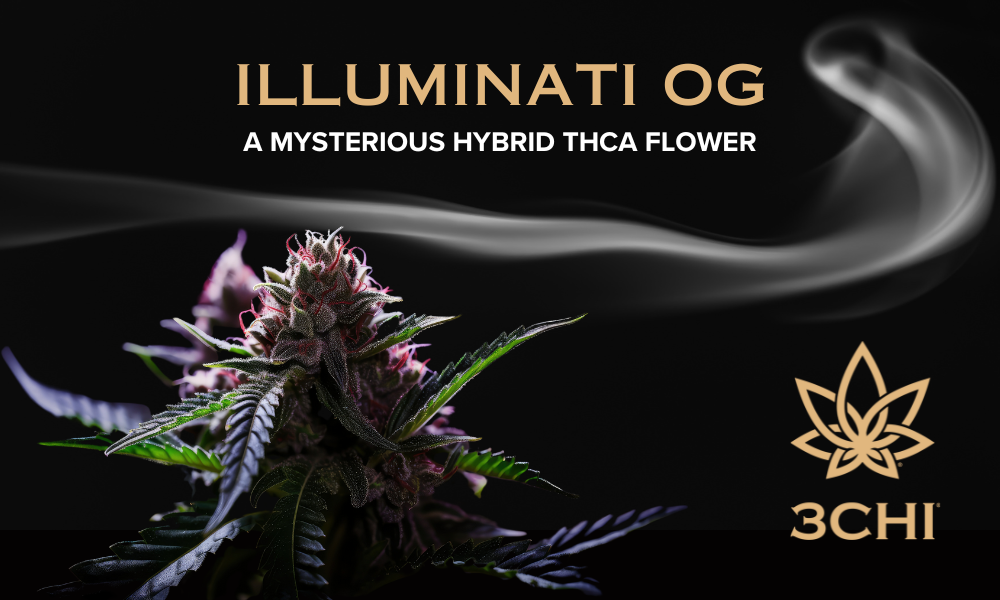 Illuminati Strain: 3CHI's Premium THCA Flower