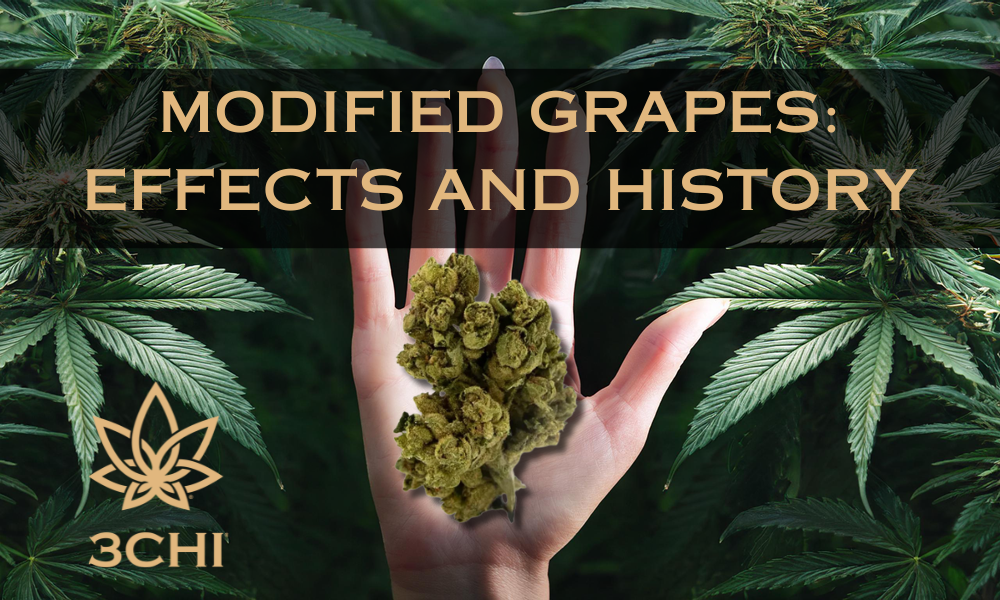 3CHI’s Modified Grapes Strain: The Pinnacle of THCA Flower Excellence