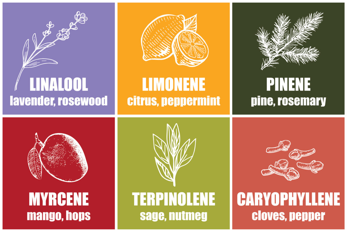 Terpenes