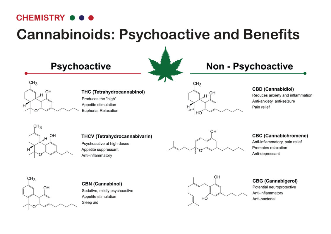 CBG vs CBD vs THC: What’s the Difference and Why It Matters