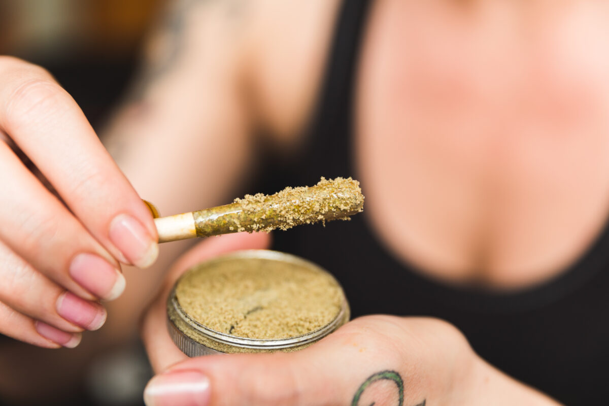What Is Kief? The Powdery Powerhouse of Cannabis