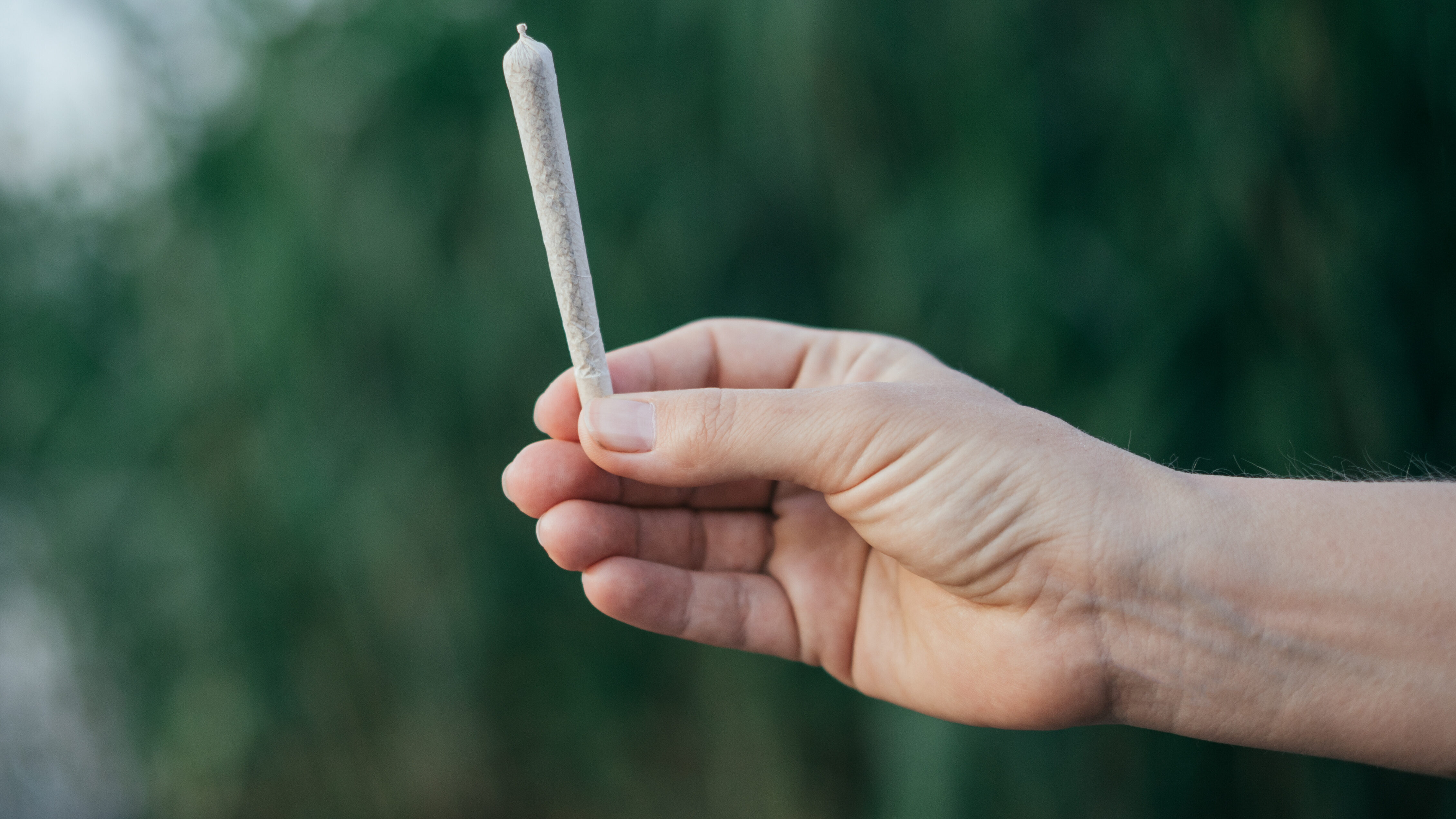 THCA Flower Prerolls: A Convenient and Potent Way to Enjoy Cannabis