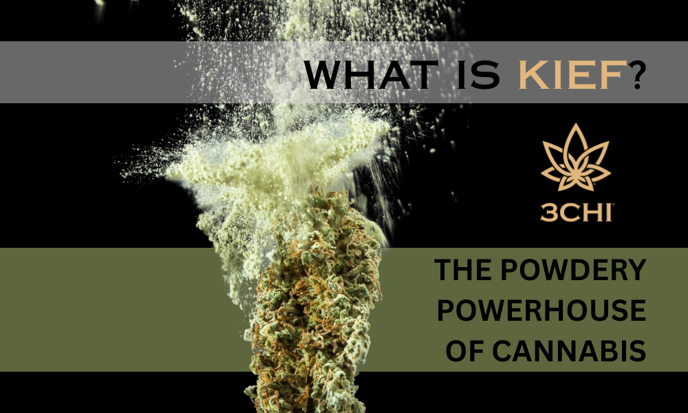 What Is Kief? The Powdery Powerhouse of Cannabis