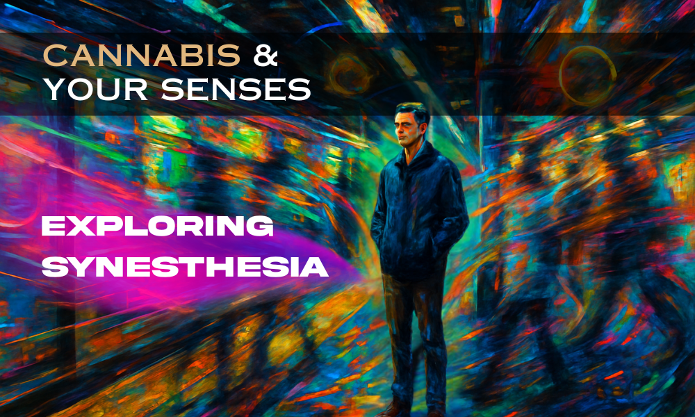 Delta 9 Gummies and the Senses: Exploring Synesthesia and Cannabis