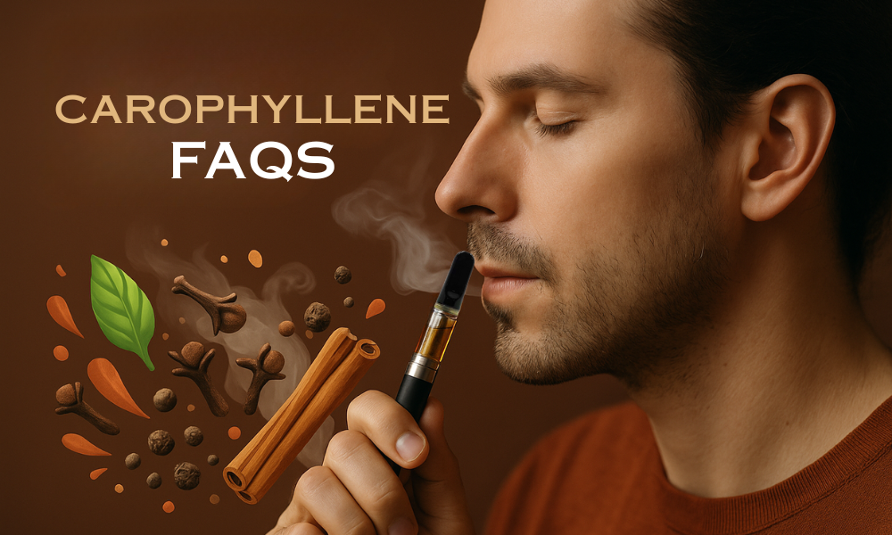 Caryophyllene Terpene: The Spicy, Science-Backed Terpene in Cannabis and Nature