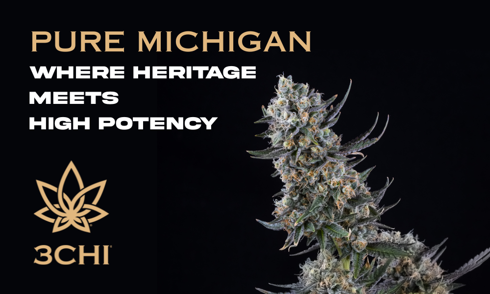 Pure Michigan Strain: Where Heritage Meets High Potency