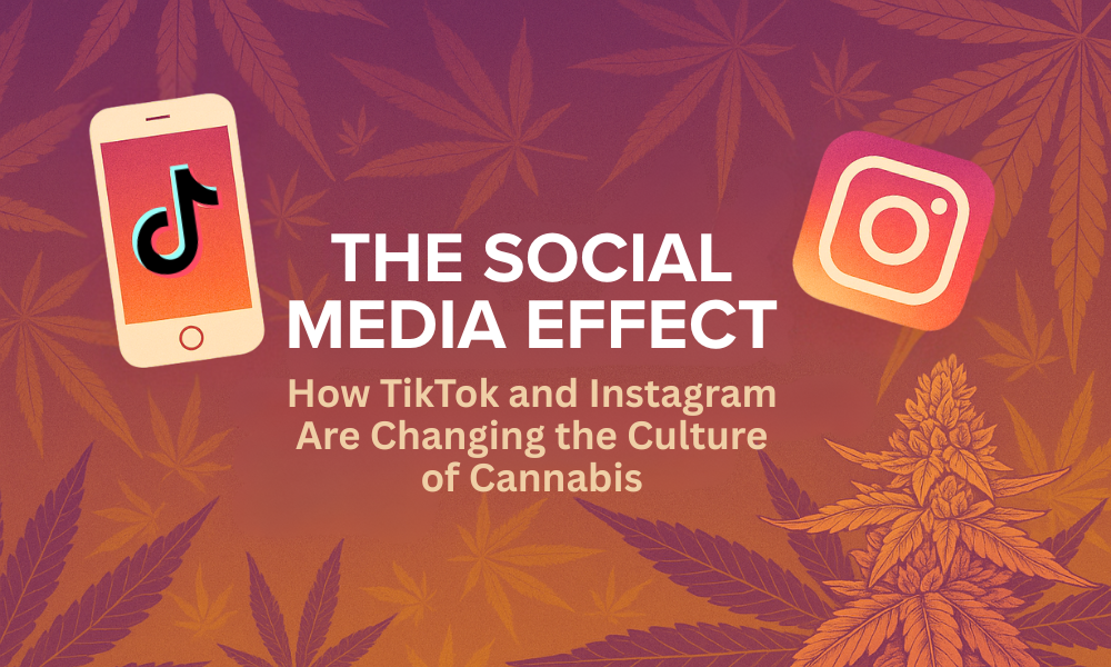 How TikTok and Instagram Are Changing the Culture of Cannabis