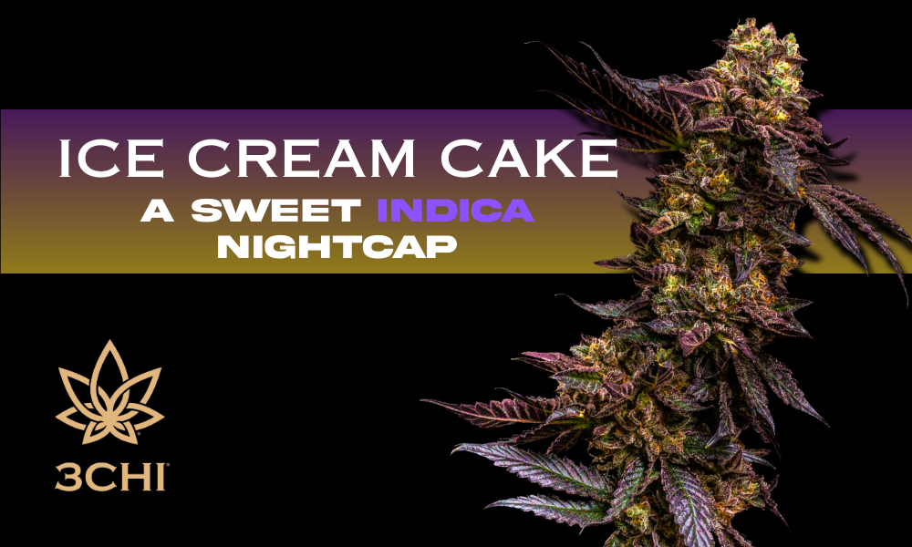 Ice Cream Cake Strain: A Sweet Indica Nightcap