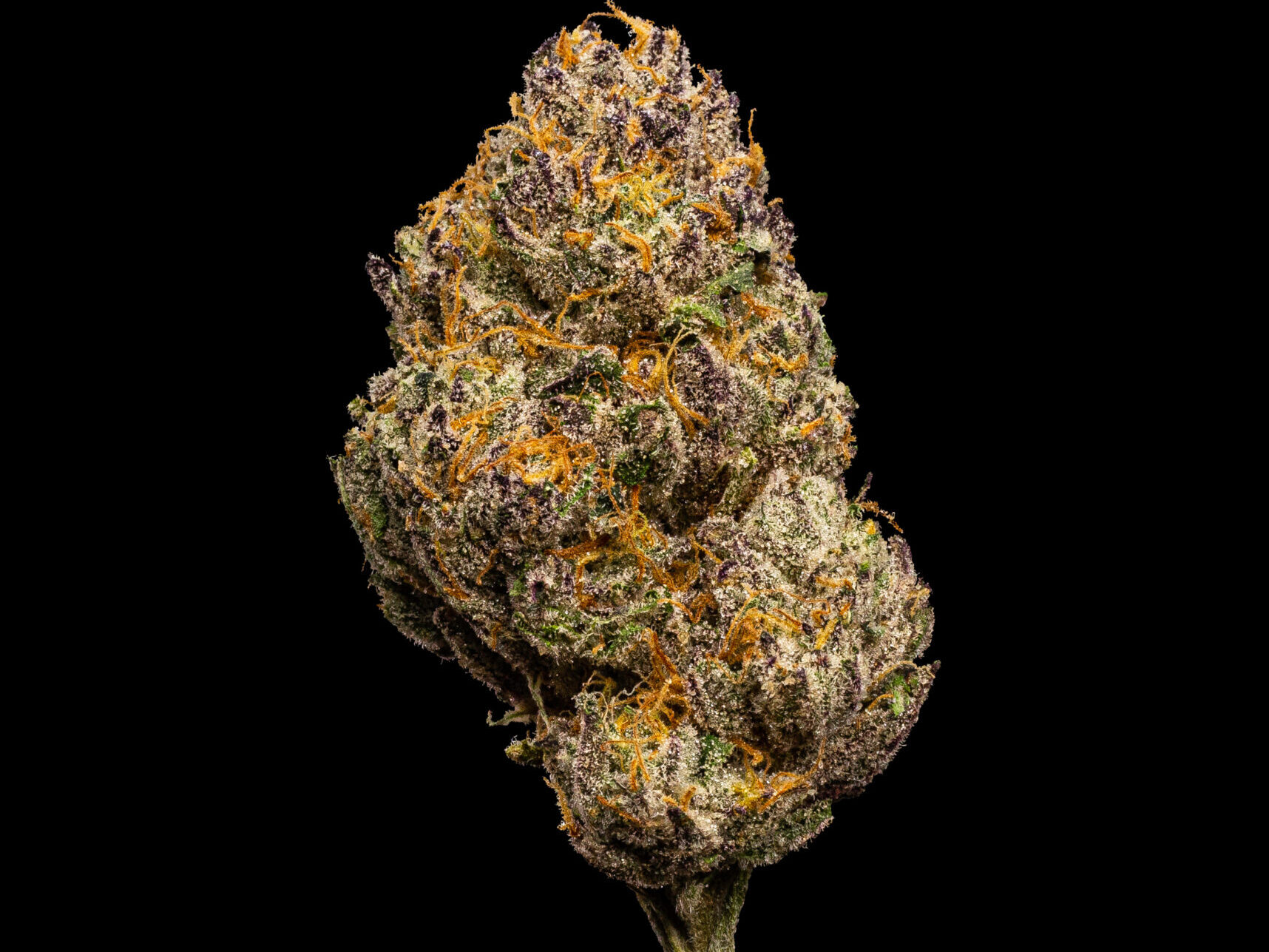 Ice Cream Cake Strain: A Sweet Indica Nightcap