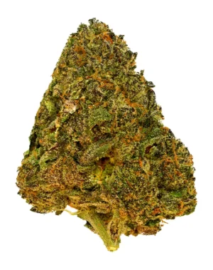 Cereal Milk – THCA Flower - Cereal Milk is a sativa strain with genetics tracing to Y Life (Cherry Pie × Snowman). Known for its uplifting, focused, social effects, this flower brings smokers a premium experience with standout flavor notes of sweet, creamy, fruity. Perfect for cannabis enthusiasts seeking top-tier quality.