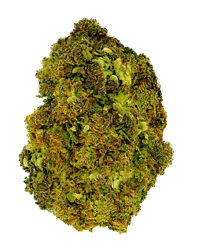 Cookies & Cream – THCA Flower - Cookies & Cream is a hybrid strain with genetics tracing to Starfighter × Girl Scout Cookies. Known for its relaxed, happy, euphoric effects, this flower brings smokers a premium experience with standout flavor notes of sweet, creamy, earthy. Perfect for cannabis enthusiasts seeking top-tier quality.