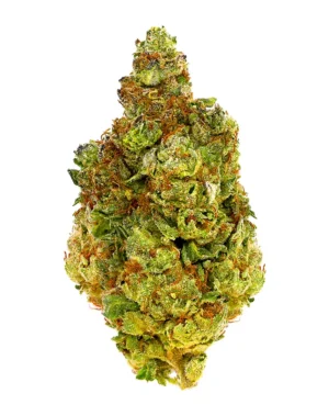 Donny Burger – THCA Flower - Donny Burger is a indica strain with genetics tracing to GMO × Han Solo Burger. Known for its body high, calming, couch-lock effects, this flower brings smokers a premium experience with standout flavor notes of pungent, diesel, savory. Perfect for cannabis enthusiasts seeking top-tier quality.