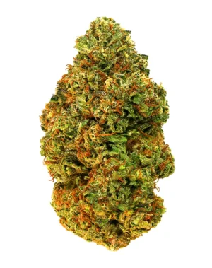 Gelato 45 – THCA Flower - Gelato 45 is a hybrid strain with genetics tracing to Sunset Sherbet × Thin Mint GSC. Known for its euphoric, relaxing, giggly effects, this flower brings smokers a premium experience with standout flavor notes of creamy, sweet, dessert. Perfect for cannabis enthusiasts seeking top-tier quality.
