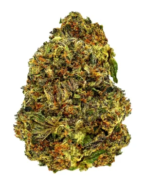 Gelato King – THCA Flower - Gelato King is a hybrid strain with genetics tracing to Gelato phenotype. Known for its euphoric, creative, balanced effects, this flower brings smokers a premium experience with standout flavor notes of creamy, sweet, earthy. Perfect for cannabis enthusiasts seeking top-tier quality.
