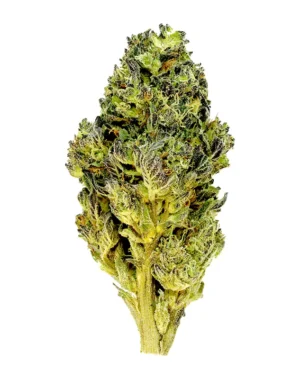 THCA Flower - Gelato Mintz