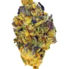 Jelly Breath – THCA Flower - Jelly Breath is a indica strain with genetics tracing to Mendo Breath × Do-Si-Dos. Known for its calming, heavy, euphoric effects, this flower brings smokers a premium experience with standout flavor notes of fruity, grape, sweet. Perfect for cannabis enthusiasts seeking top-tier quality.
