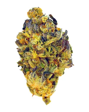 Jelly Breath – THCA Flower - Jelly Breath is a indica strain with genetics tracing to Mendo Breath × Do-Si-Dos. Known for its calming, heavy, euphoric effects, this flower brings smokers a premium experience with standout flavor notes of fruity, grape, sweet. Perfect for cannabis enthusiasts seeking top-tier quality.