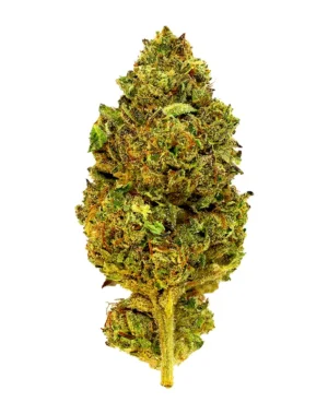 Jokerz – THCA Flower - Jokerz is a indica strain with genetics tracing to Gelato #33 × 9lb Hammer. Known for its calming, body buzz, slightly sedative effects, this flower brings smokers a premium experience with standout flavor notes of sweet, earthy, creamy. Perfect for cannabis enthusiasts seeking top-tier quality.