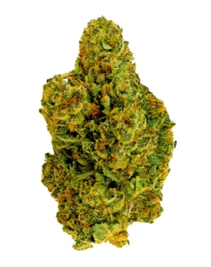 White Runtz – THCA Flower - White Runtz is a hybrid strain with genetics tracing to Gelato × Zkittlez. Known for its happy, relaxed, euphoric effects, this flower brings smokers a premium experience with standout flavor notes of sweet, fruity, candy. Perfect for cannabis enthusiasts seeking top-tier quality.